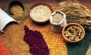 grains-baby-food